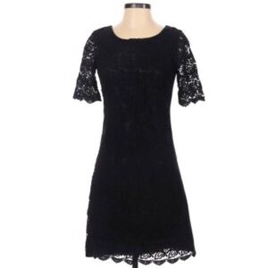 Yumi LBD lace sheer sleeve fit n flare dress 2-4 S